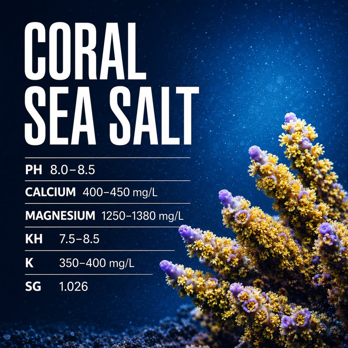 Hiker Coral Sea Salt