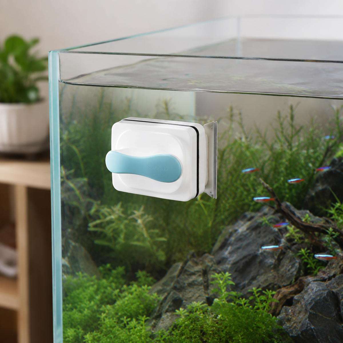 Jingye Magnetic