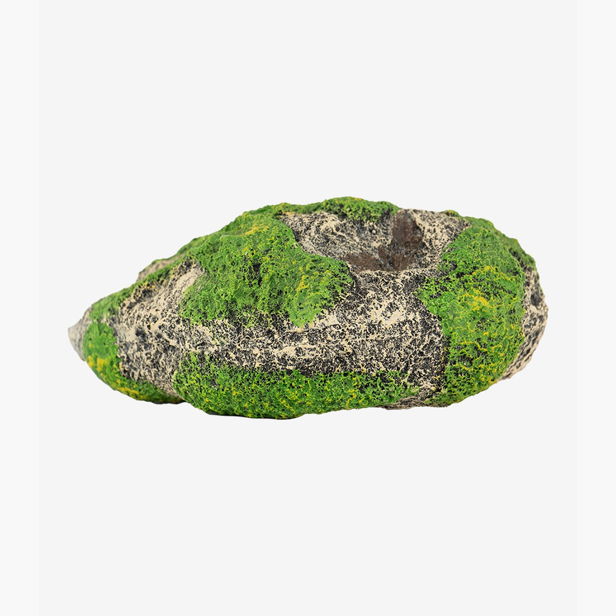 Algae Rock Formation Ornament