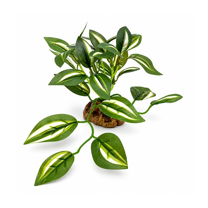 Broadleaf Plant Aquarium Ornament