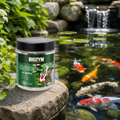 Biozym Algicide for Koi Pond