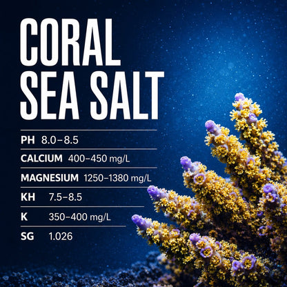 Hiker Coral Sea Salt