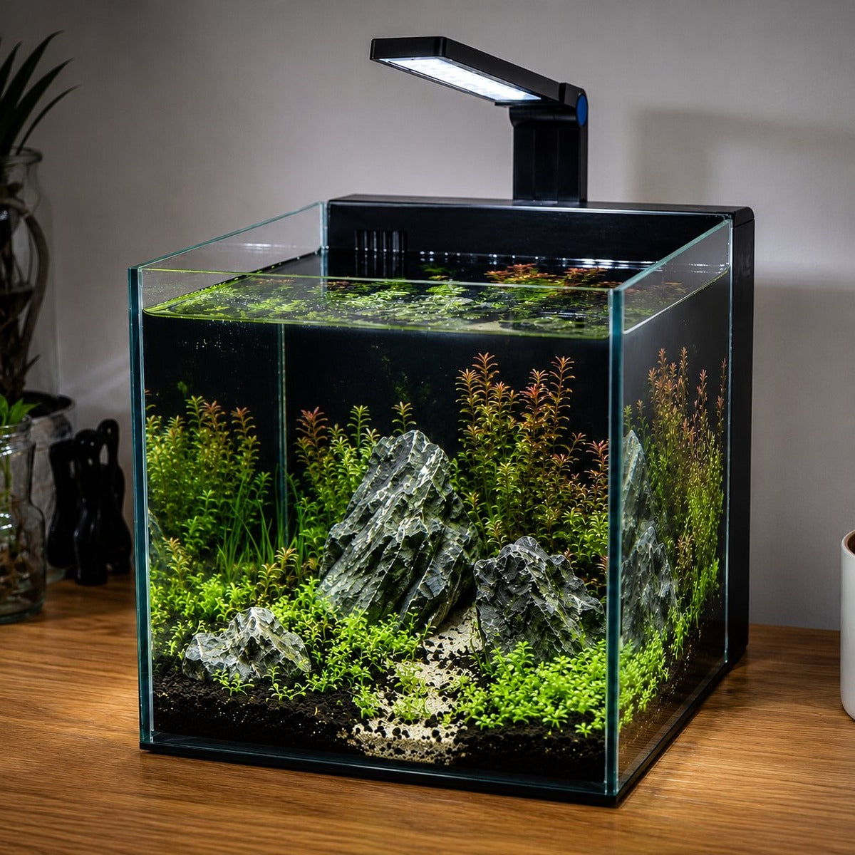 Fish Tank XP Series