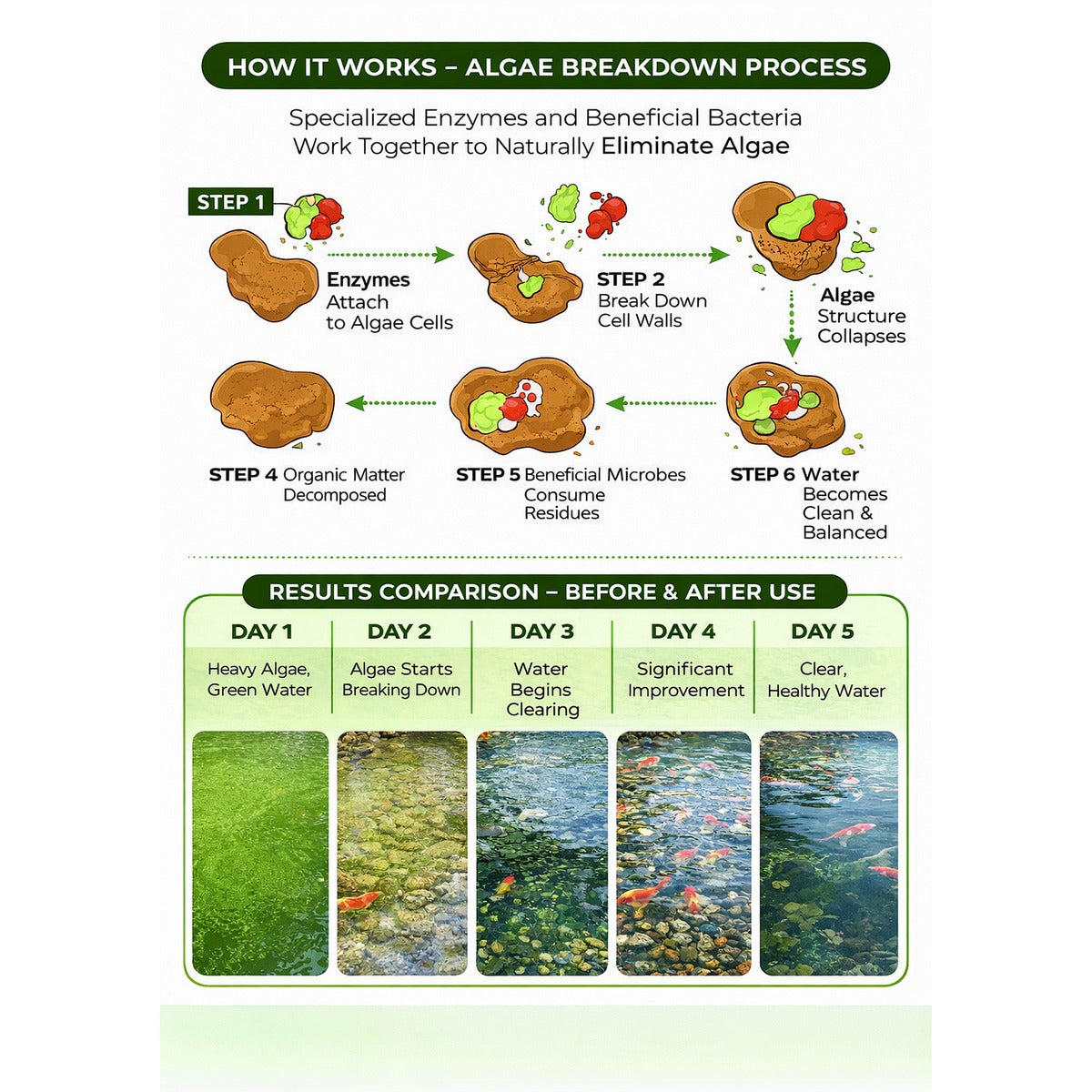 Biozym Algicide for Koi Pond