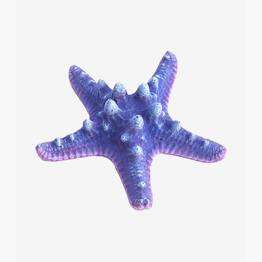 Bubblegum Sea Star Ornament