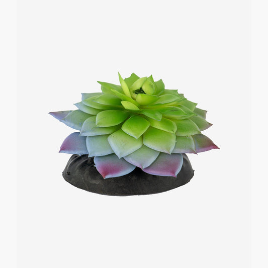 Succulent Plant Aquarium Ornament