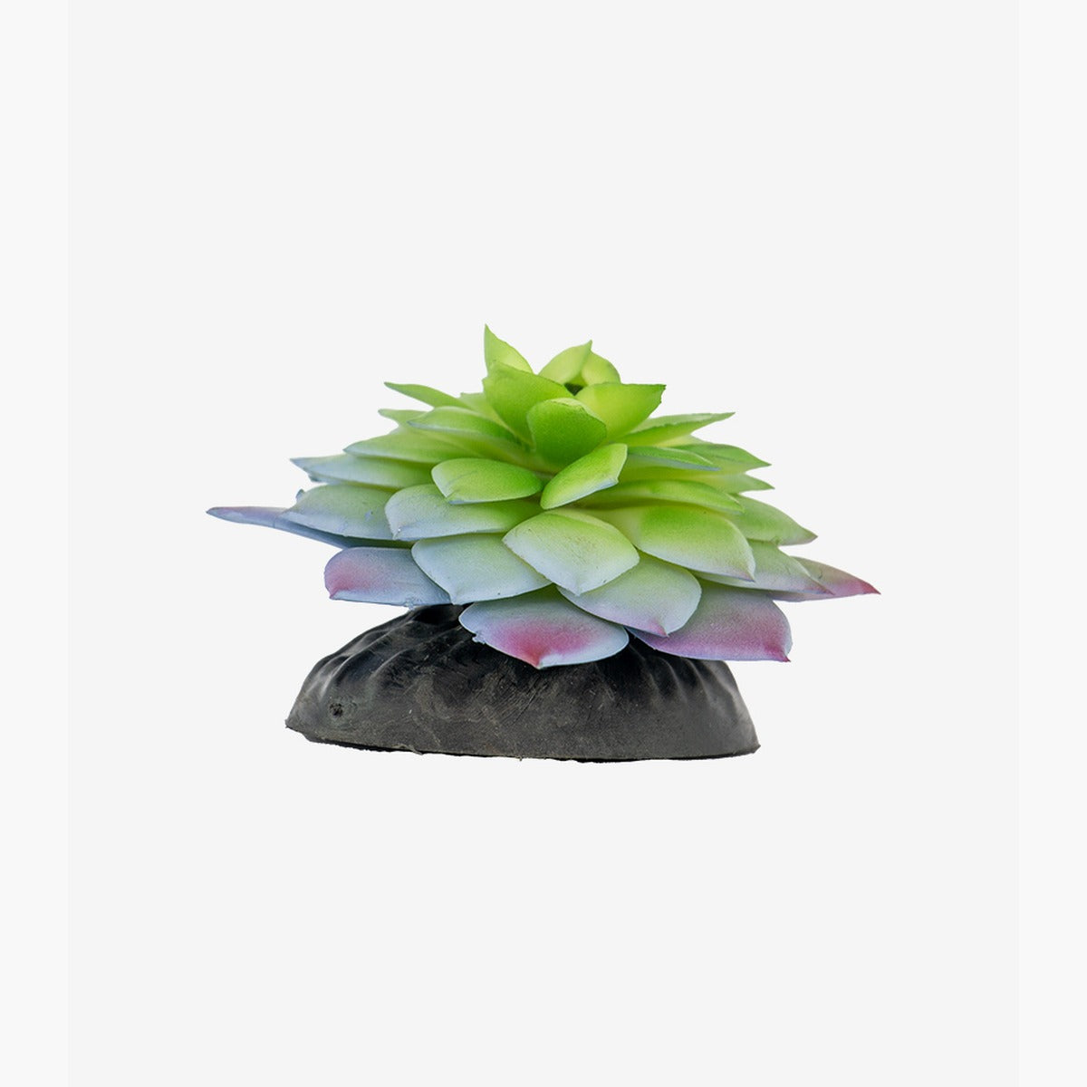 Succulent Plant Aquarium Ornament
